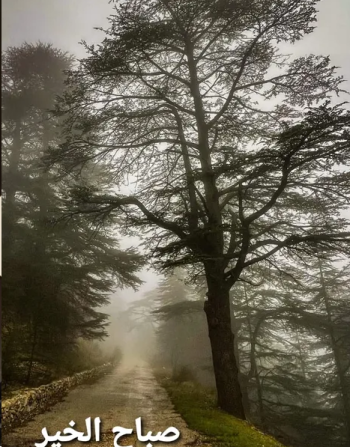 محل للبيع في دوحة عرمون