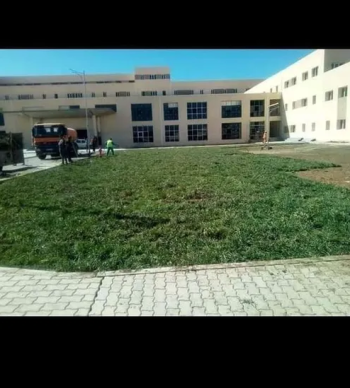 غرس العشب طبيعي وتزيين الحديقة المنزل