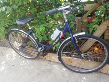 Dutch ladies city bike