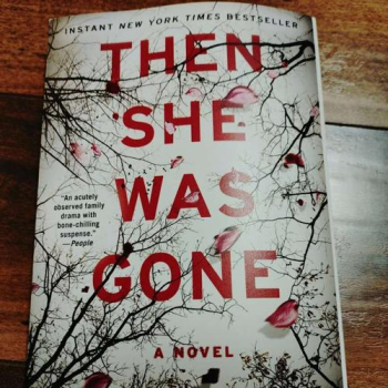 The She Was Gone by Lisa Jewell in Layton, Utah