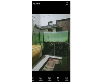 L shaped ( 8 feet ) included all accessories n fishes