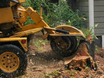 Residential & Commercial Tree Removal-Land Clearing-Forestry Mulching