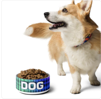 Beautiful New DOG BOWL