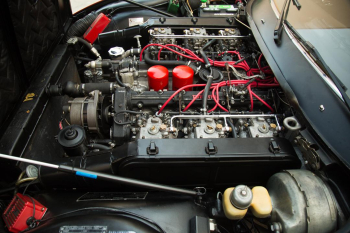  1972 Ferrari 365GTC/4