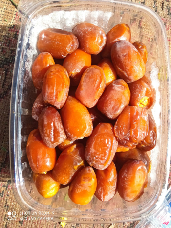 تمور رطب فريش