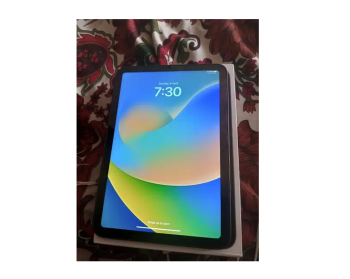 I pad mini 6