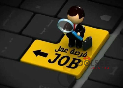 مطلوب سكرتيرة لشركة خدمات سياحية وخدمات عامة