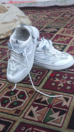 كوتش