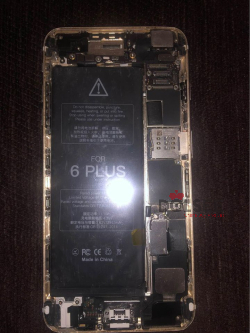 iPhone 6 Plus
