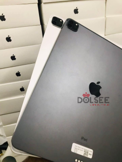 iPad Pro