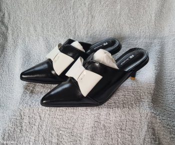 A Simple Elegant Lady Pointed Slitetto Shoes