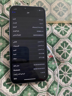 iPhone 13 pro max