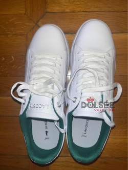 Lacoste Shoes Original