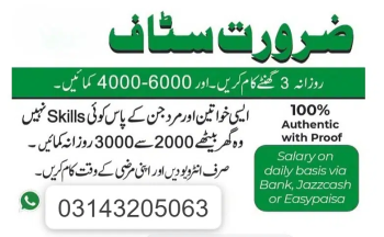 Job for Males, Females, Students (Part time, Full time Home Based Job