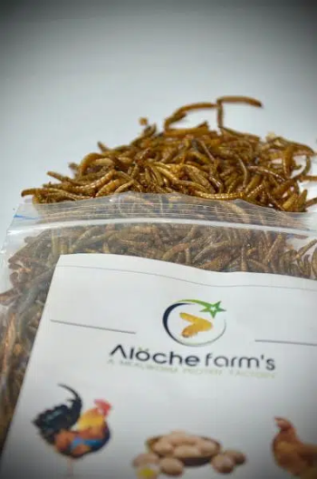 USA import premium quality Dry & live mealworms & superworms