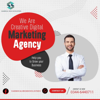 Web Design Development/ Digital Marketing/SEO