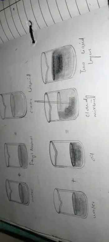 practical journal physics bio and chemistry wth attractive diagrm