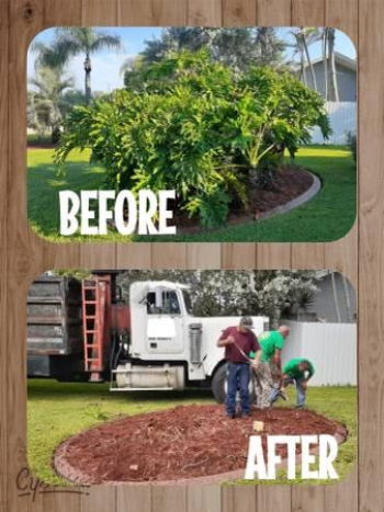 HURRICANE TRIM, TREE REMOVAL, GRAPPLE LOADS, DUMPSTER SERVICE
