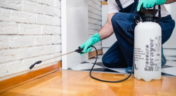 شركة تنظيف ومكافحه الافات