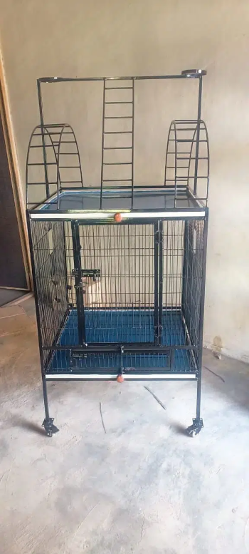 All type cages hens / parrot / pegions available