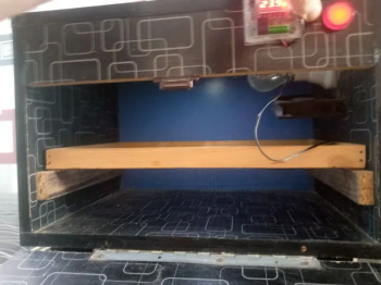 50 eggs encubater new jasa