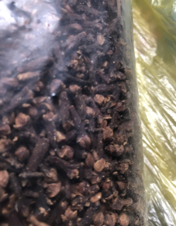 قرنفل من الاراضي الفلسطينيه