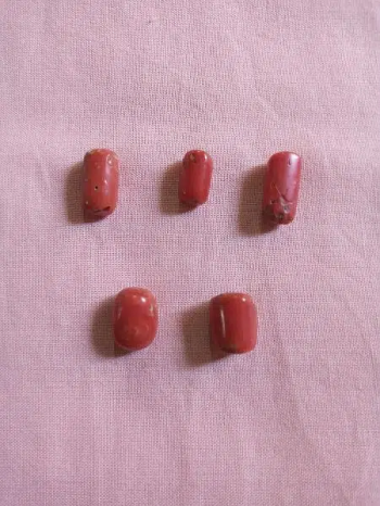 Marjan Coral Stone Discount Offer