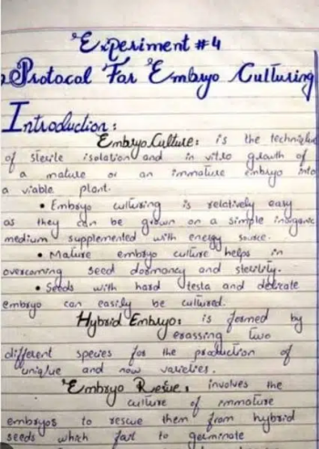 handwriting assignment work