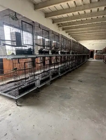 cages for sale