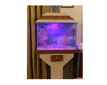 Fish Aquarium