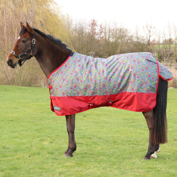 Horse Turnout Rugs Dealer in Kanpur