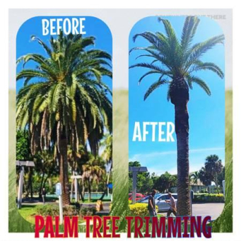 Free estimates, tree service, grapple loads, dumpster service