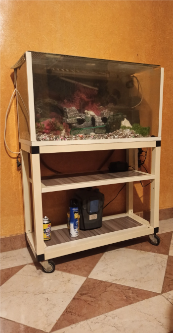 حوض سمك مستعمل بمشتملاتة كامل