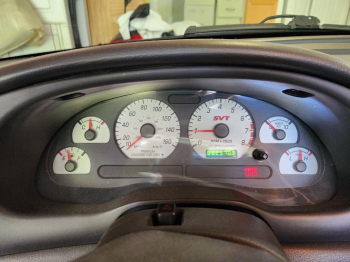 03 Triple BLack Convertible Terminator Cobra