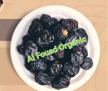 عجوة المدينة المنورة وماء زمزم المبارك