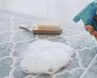 Best Pet Stain Remover Sunny Isles Beach