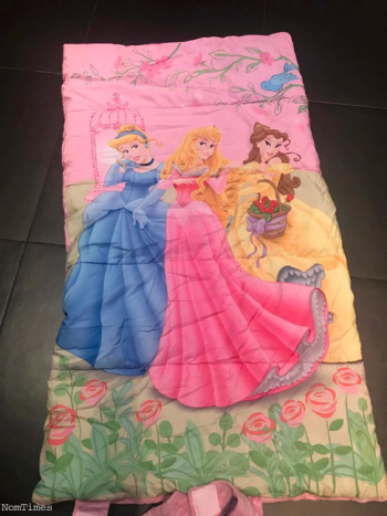 Disney Sleeping Bag