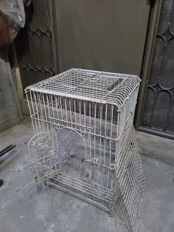 Birds cage